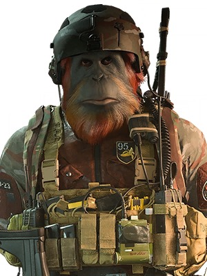 ORANGUTAN